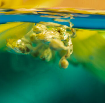 Marine & Offshore Coatings 1